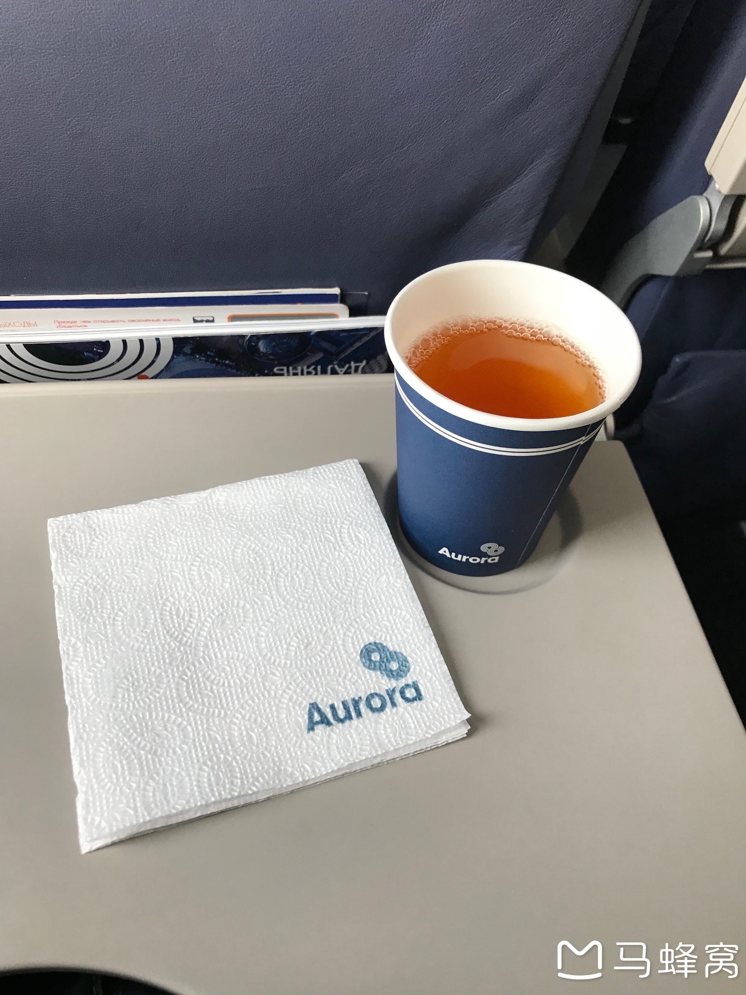 俄罗斯极光航空托运行李+俄罗斯电子签申请攻