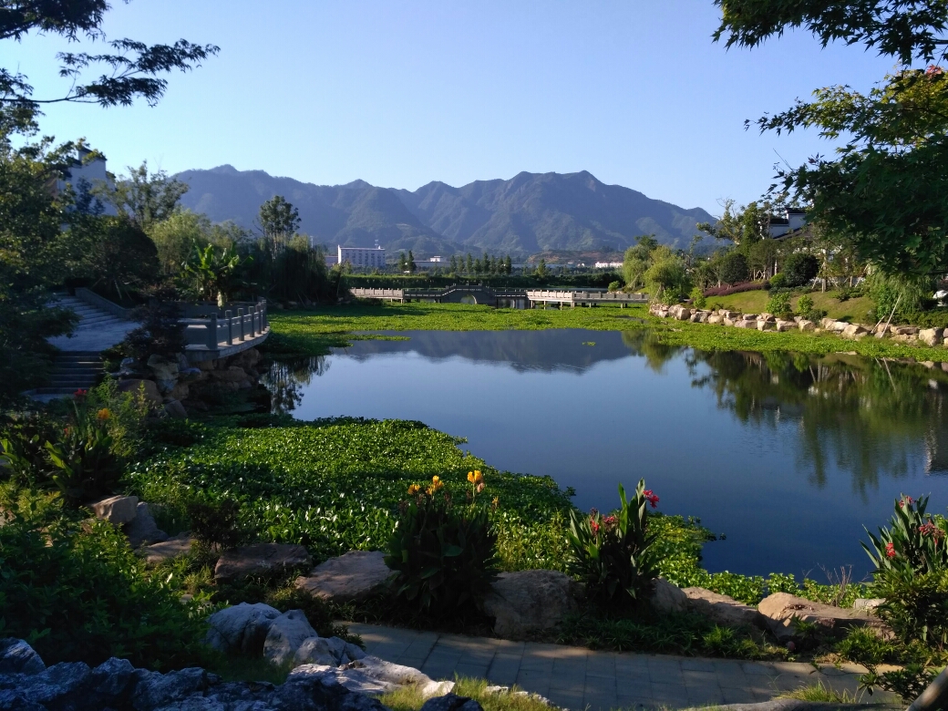 上海8天7夜—放暑假—突发奇想看展 培训游