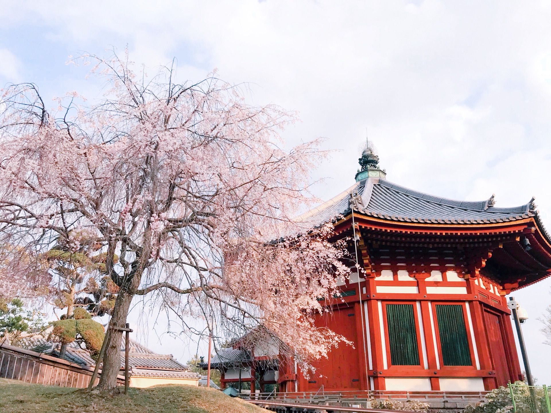 京都自助遊攻略