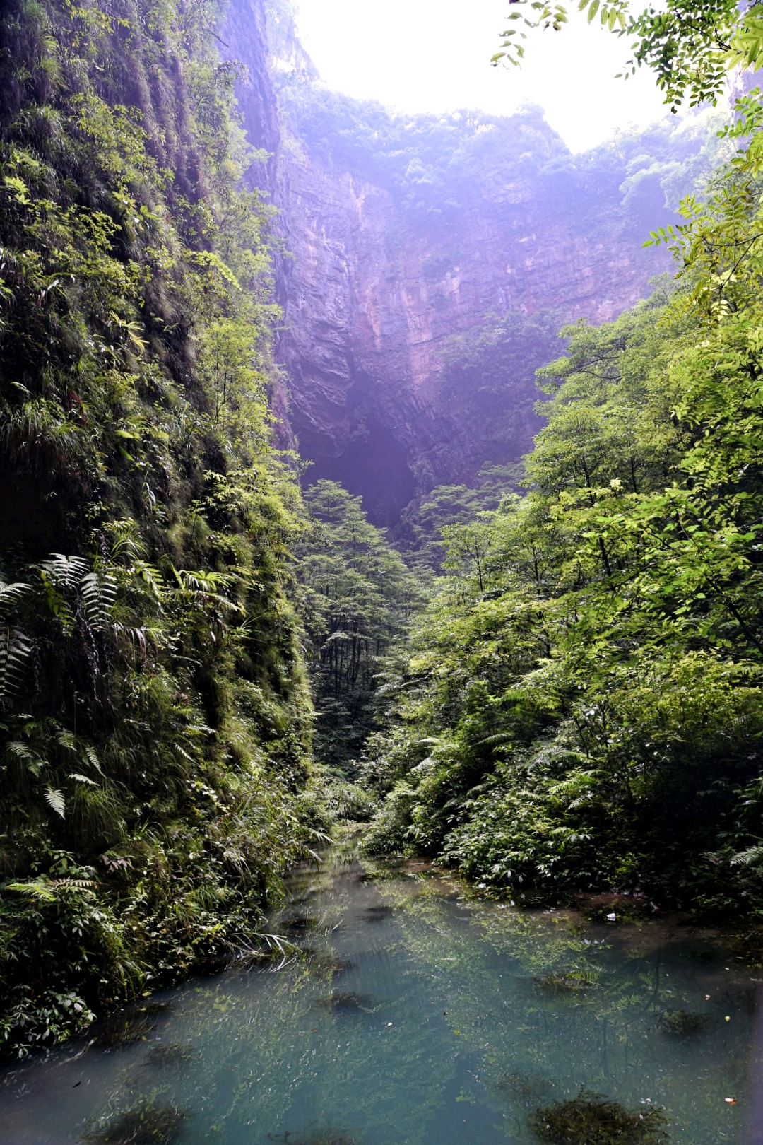 开阳必游景点 开阳猴耳天坑位于贵阳市开阳县,景区内集天坑,峭壁,暗河