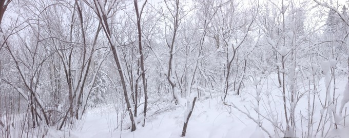 雪鄉自助遊攻略