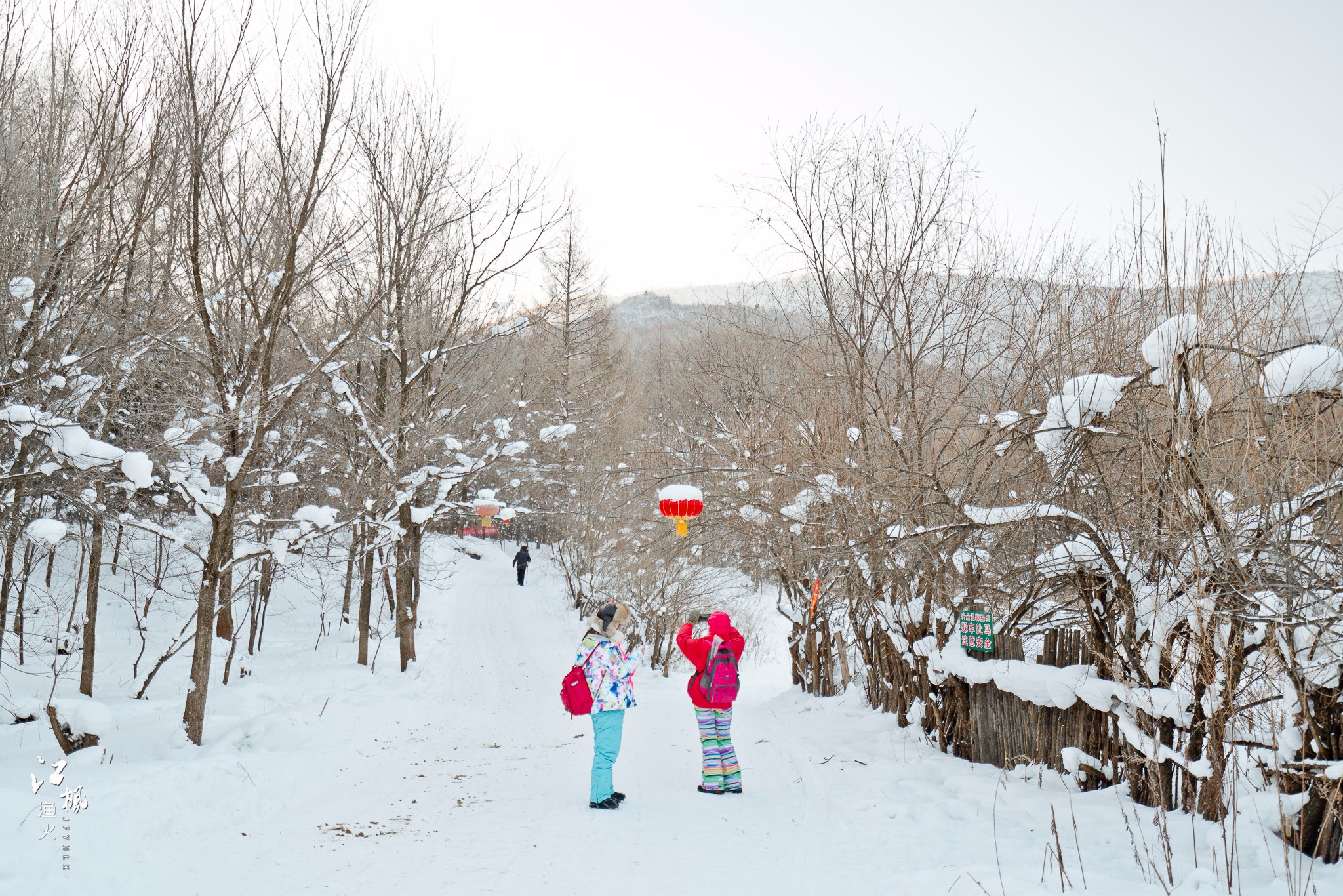 雪鄉自助遊攻略