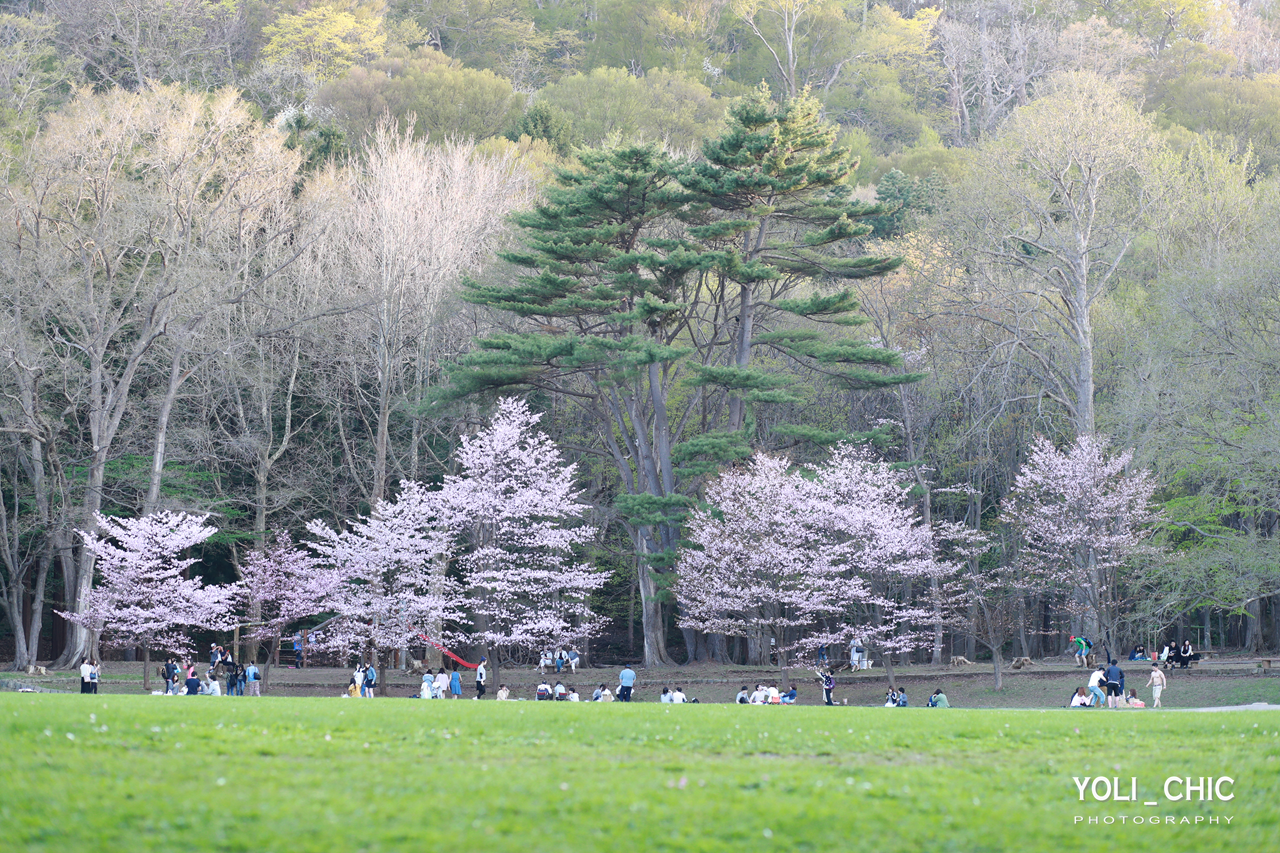 北海道自助遊攻略