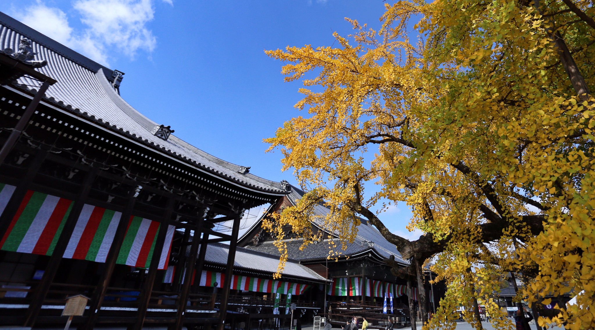 京都自助遊攻略