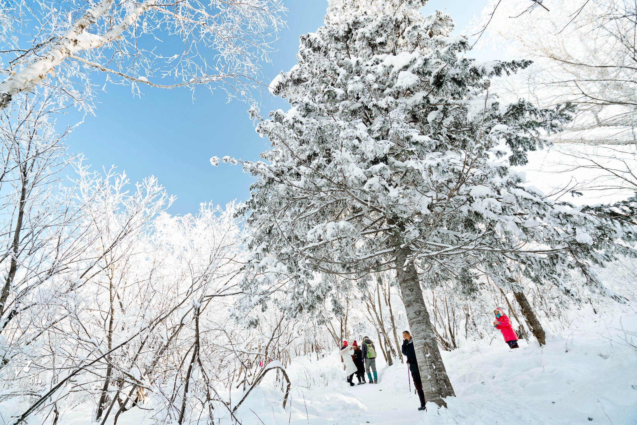 雪鄉自助遊攻略