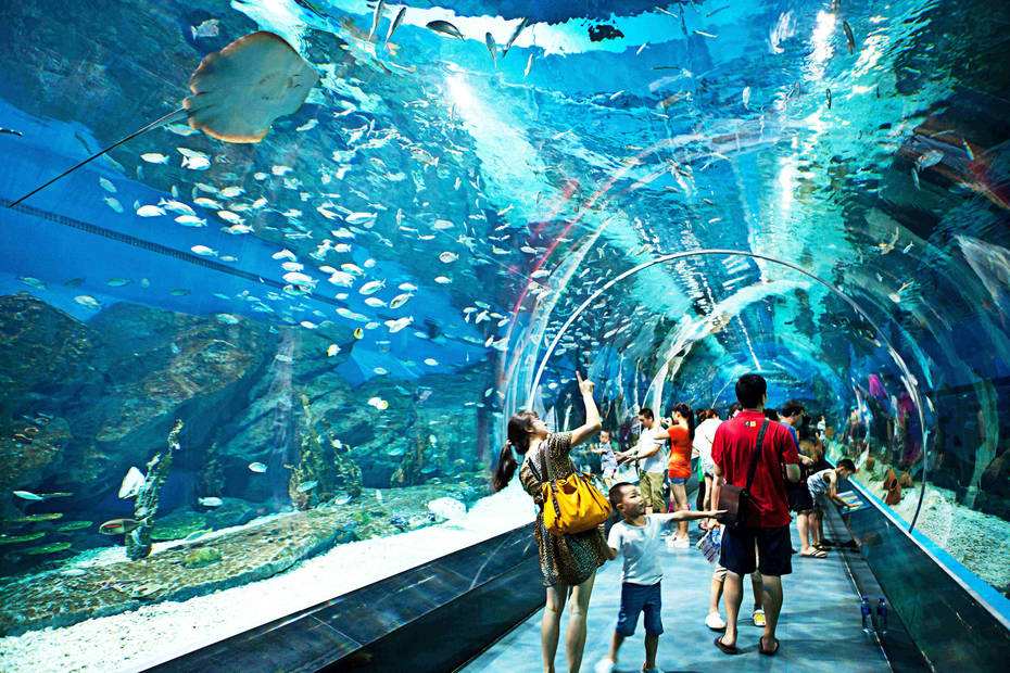 青岛海昌极地海洋世界直连电子门票(多套餐可选 喂奶鱼 海洋主题挂件)