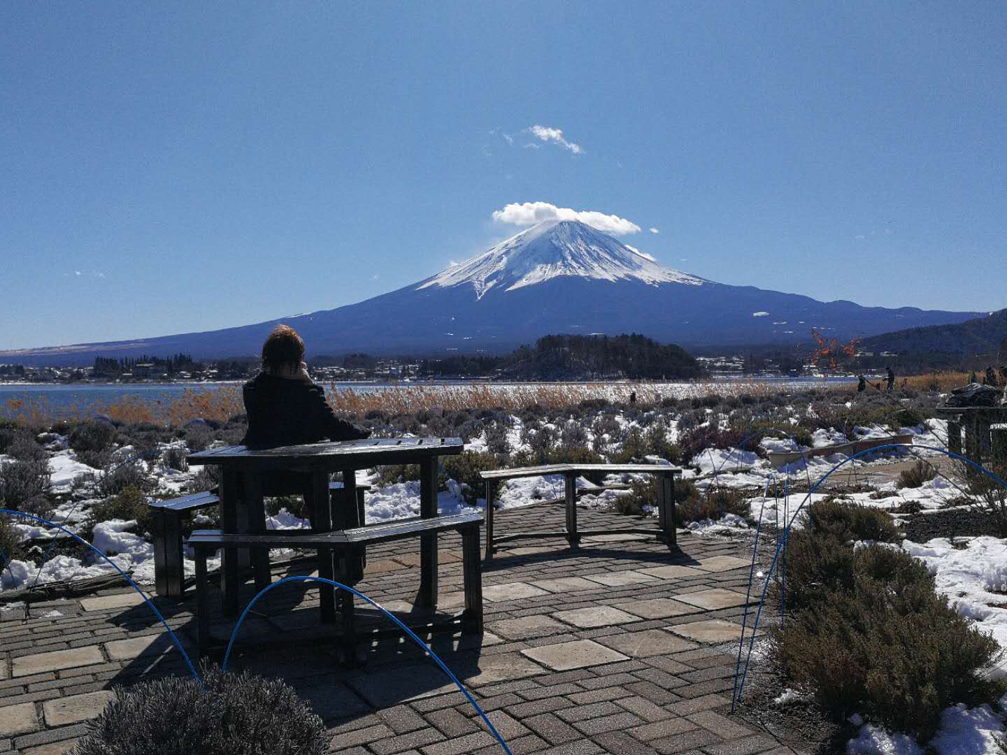 富士山自助遊攻略