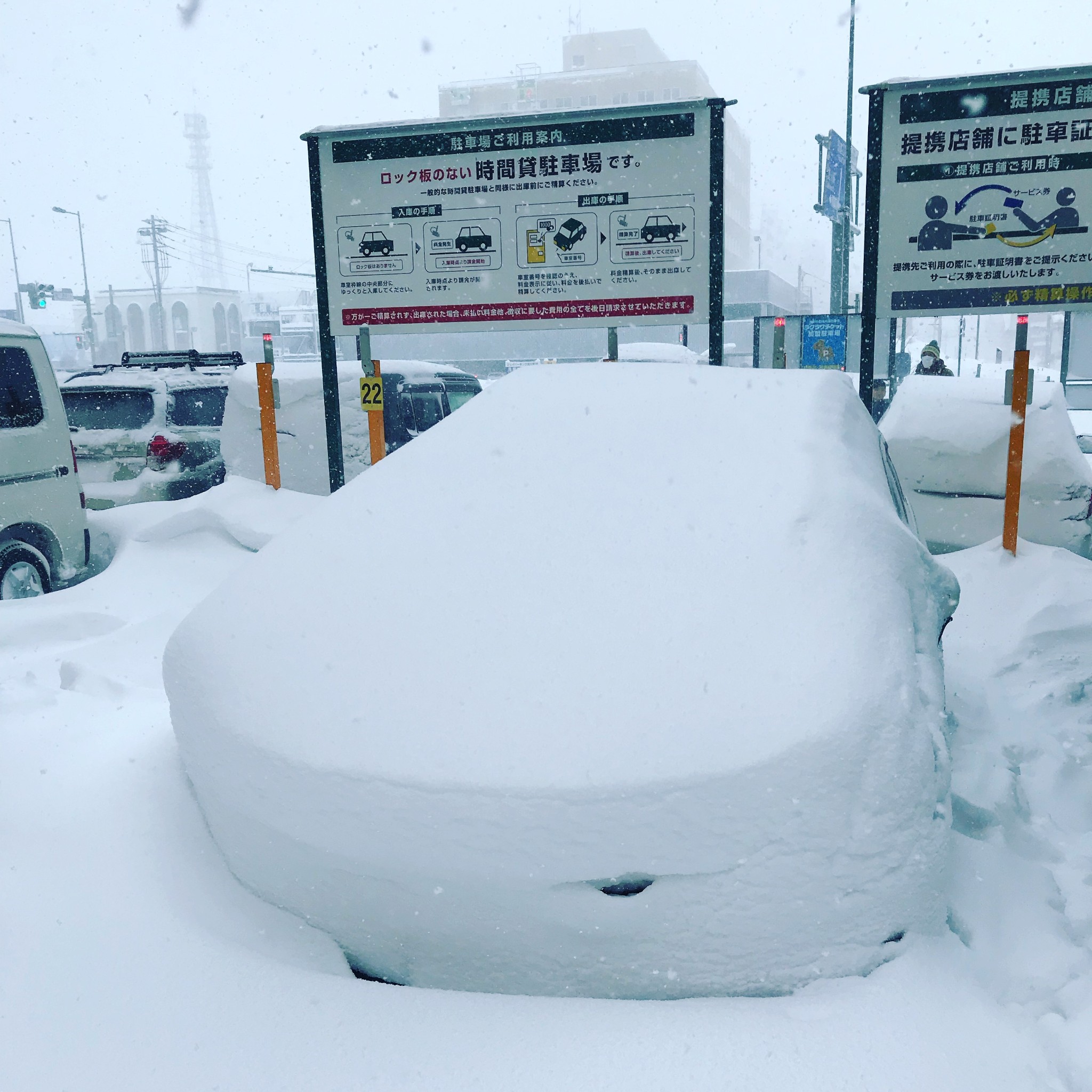 北海道自助遊攻略