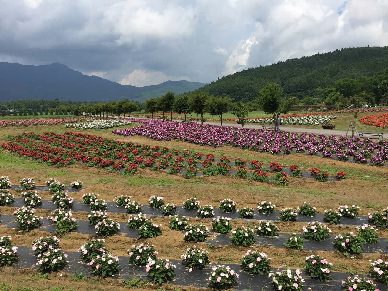 富士山自助遊攻略