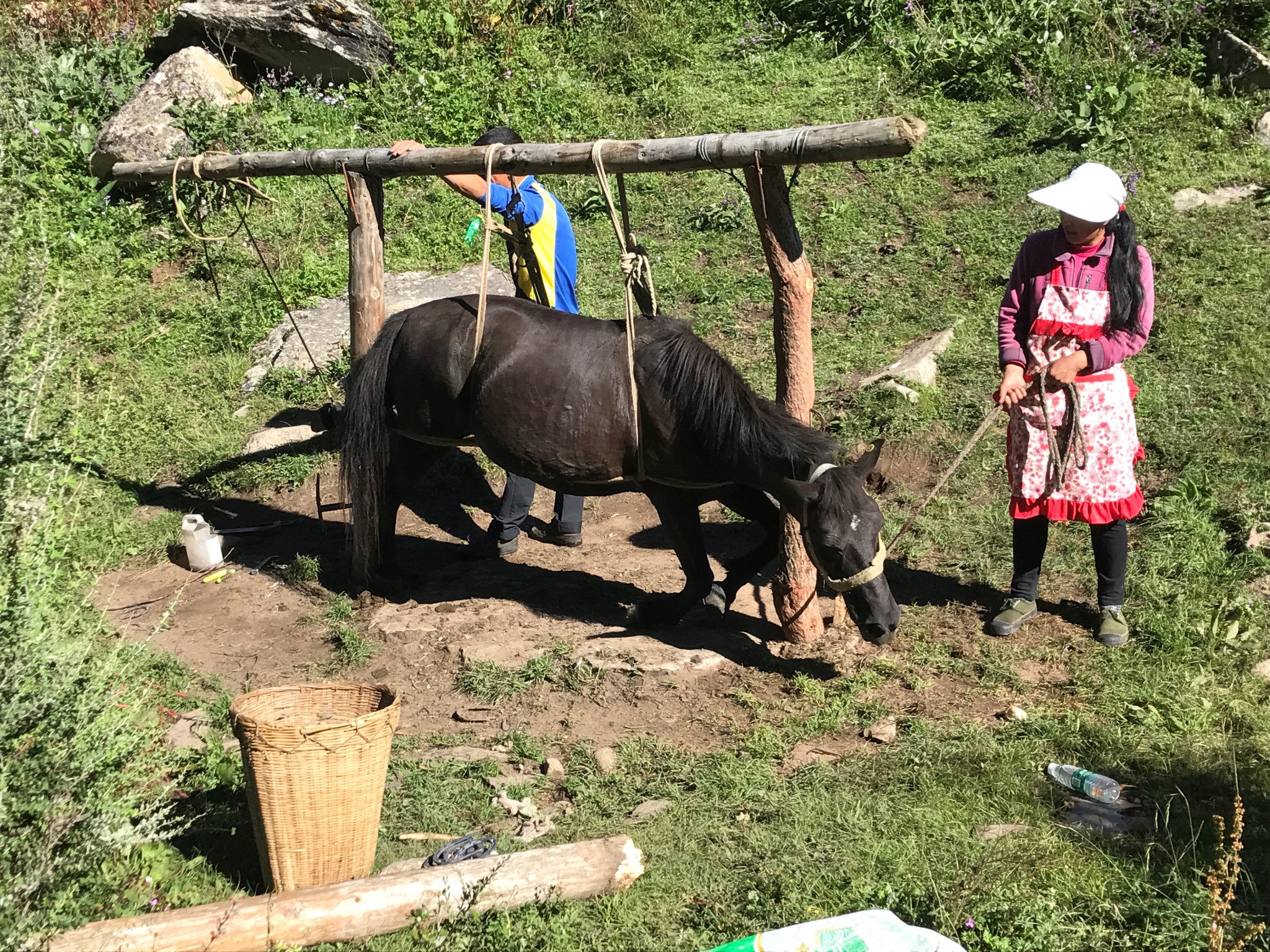 四川自助遊攻略