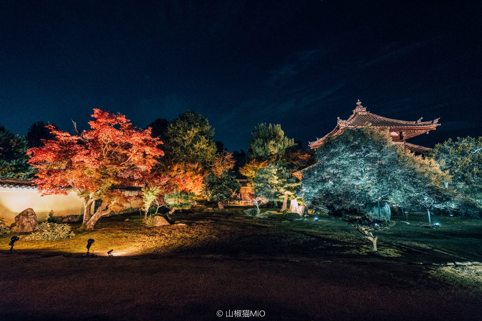 京都自助遊攻略