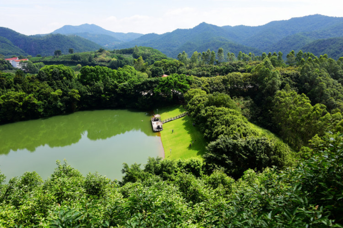 大雁南飛時,梅州茶田綠——雁南飛茶田圖片28,梅州旅遊景點,風景名勝