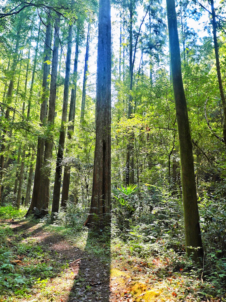 千島湖自助遊攻略