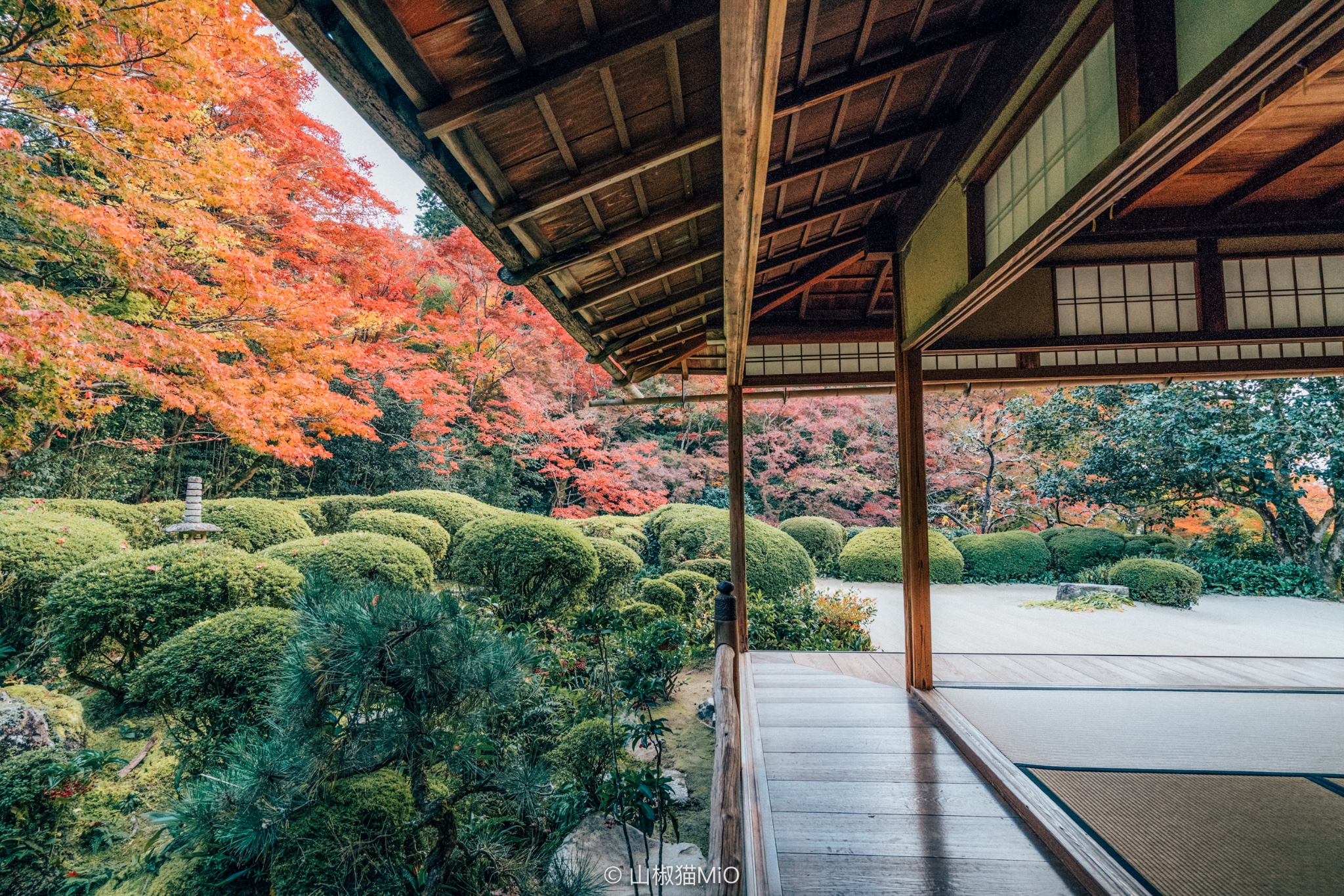 京都自助遊攻略