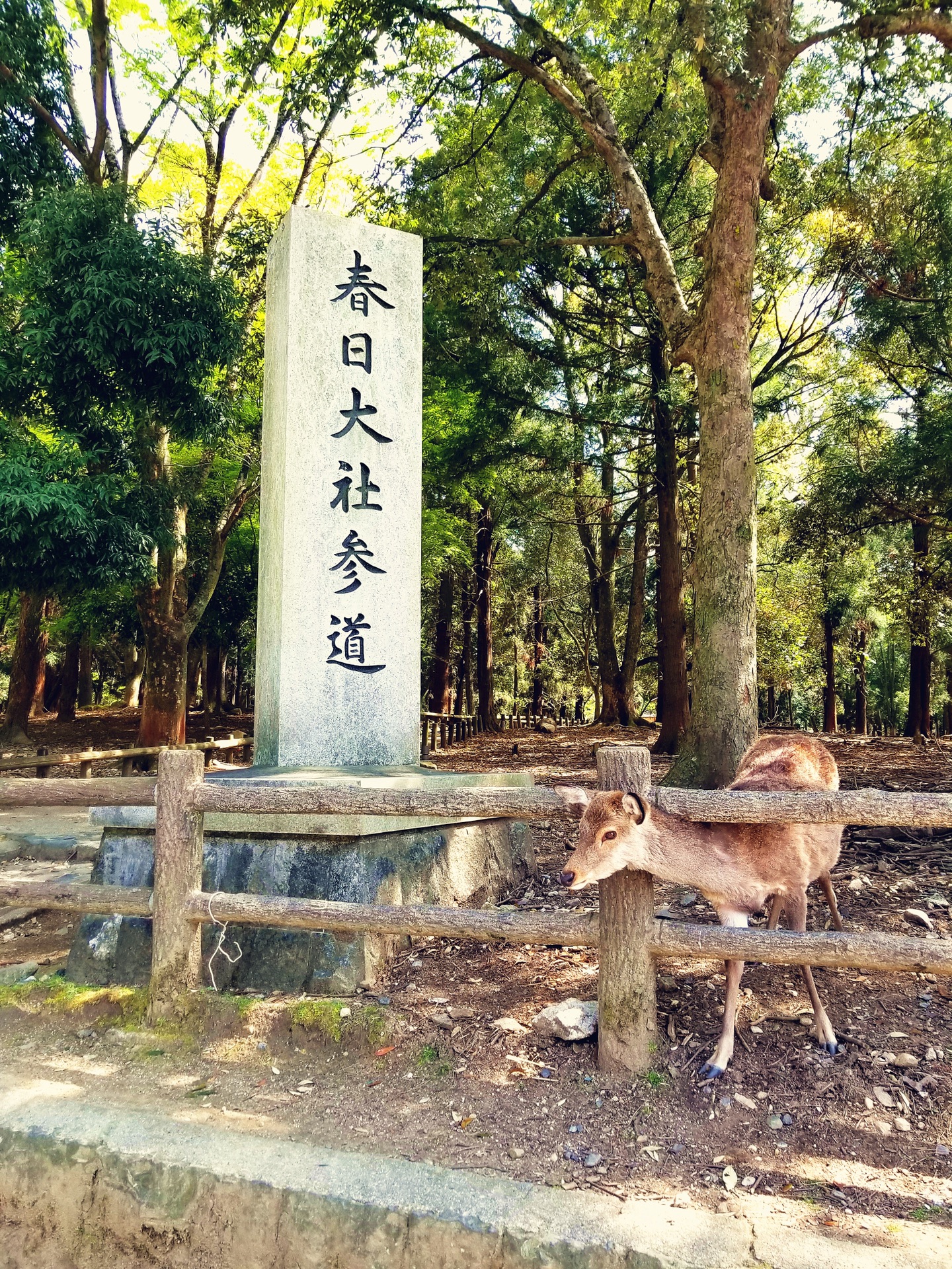 大阪自助遊攻略