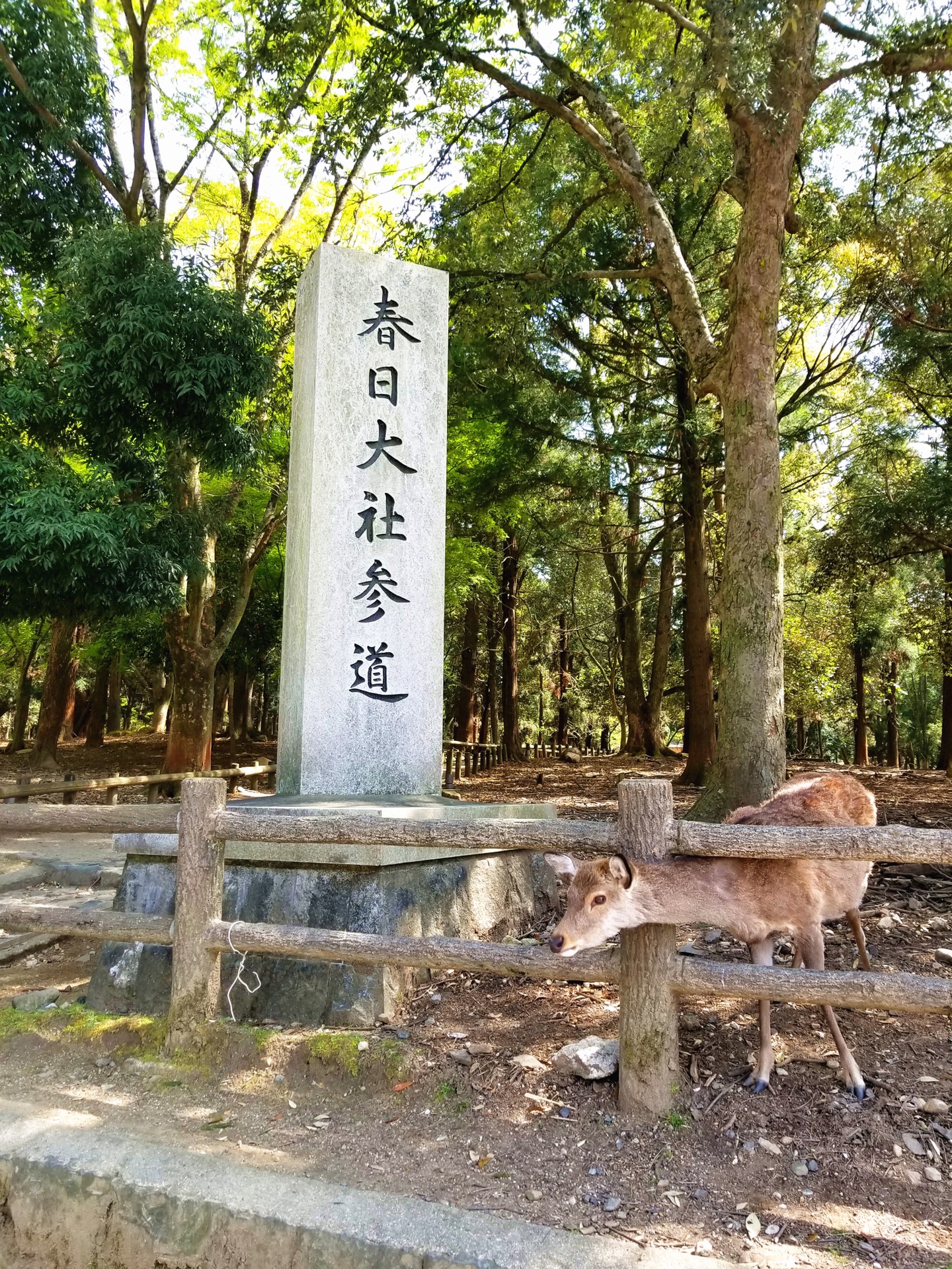 大阪自助遊攻略