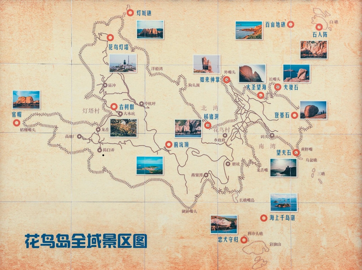 花鸟岛游记图片