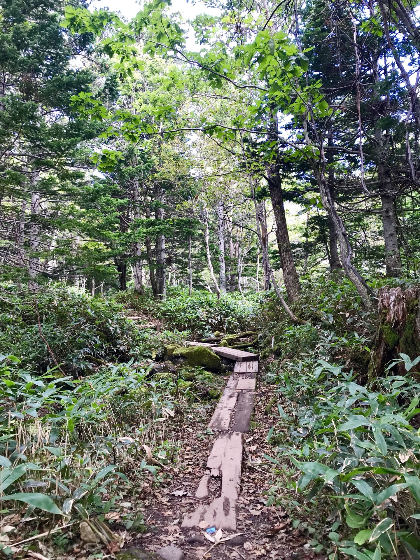 北海道自助遊攻略