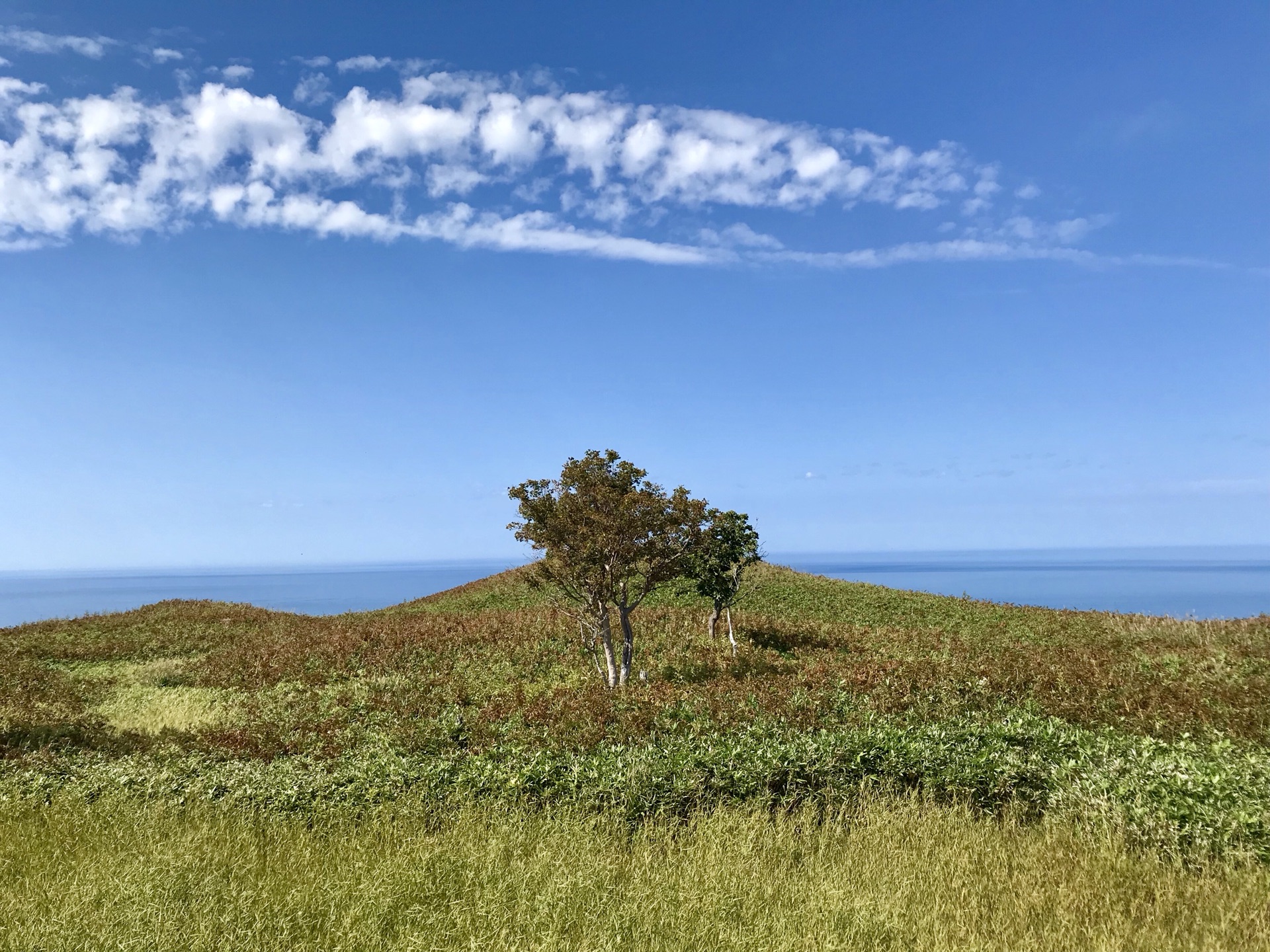 北海道自助遊攻略