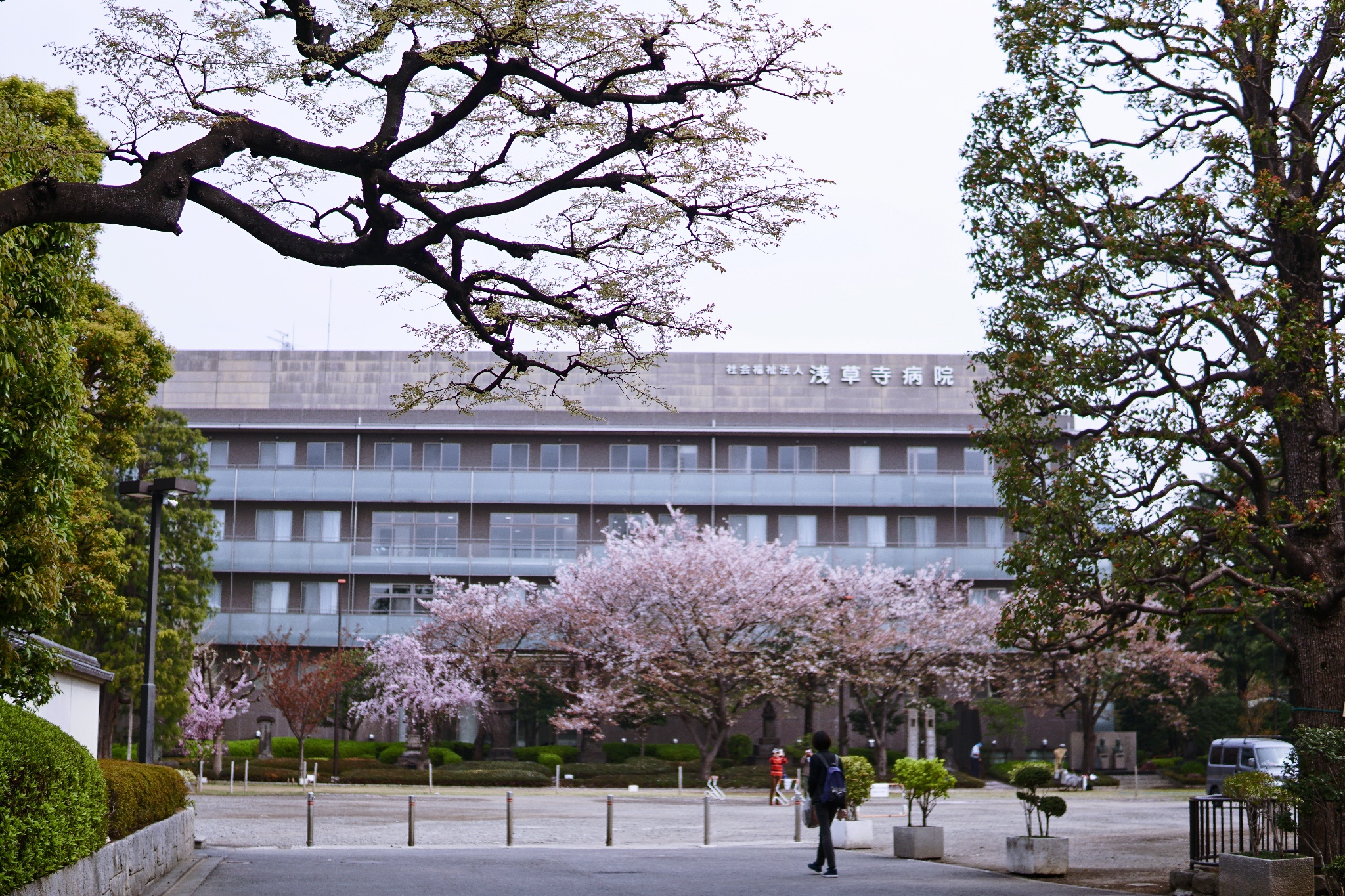 東京自助遊攻略