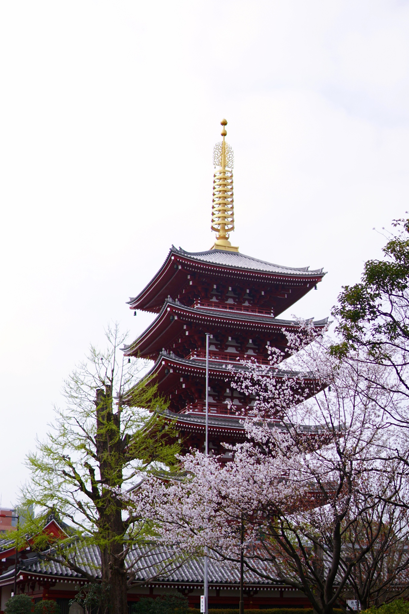 東京自助遊攻略