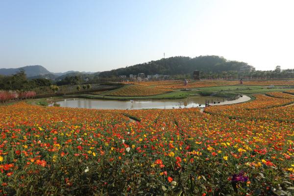 四川宜宾 蜀南花海景区 电子票