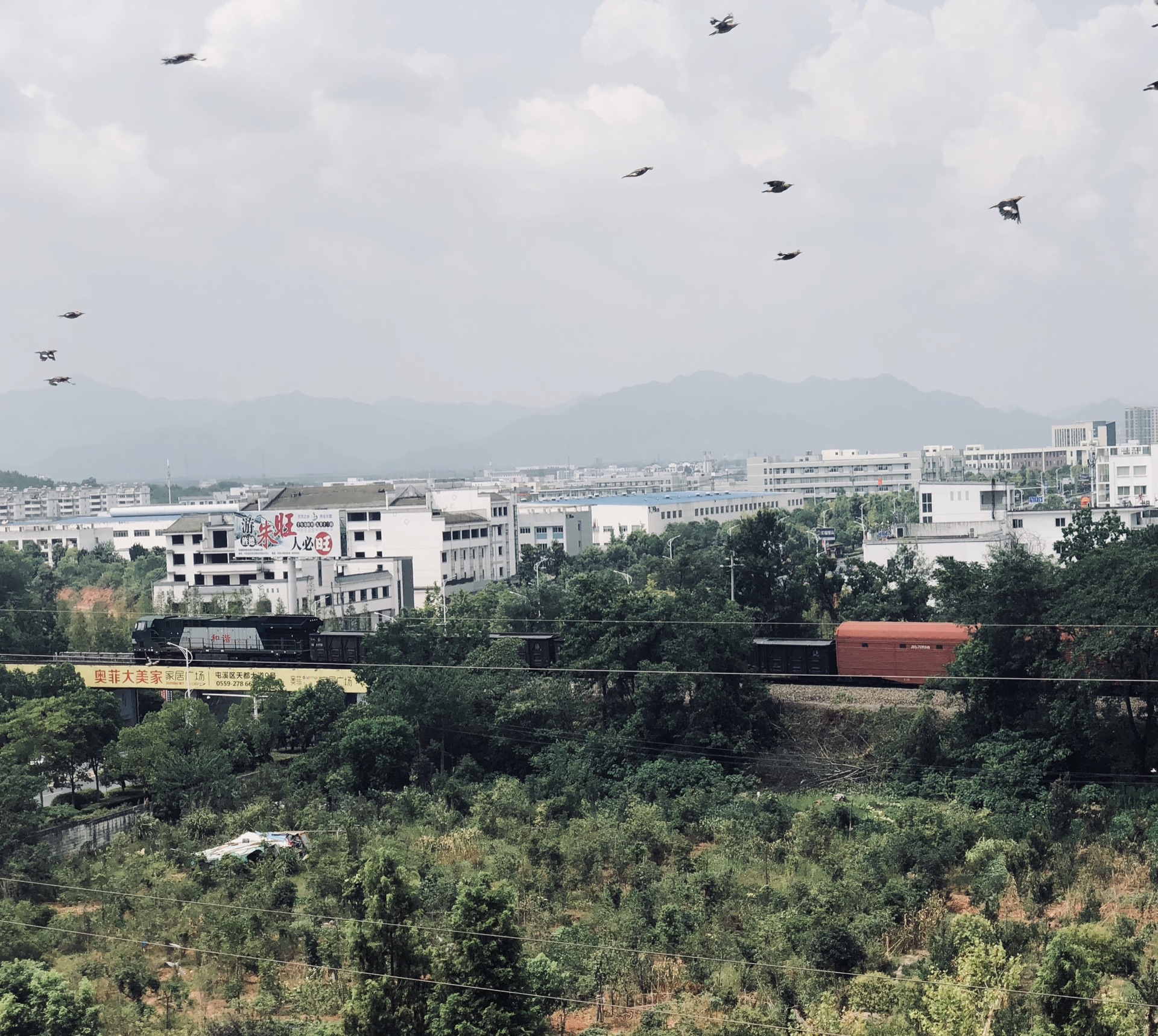 屯溪区人口_屯溪区机场