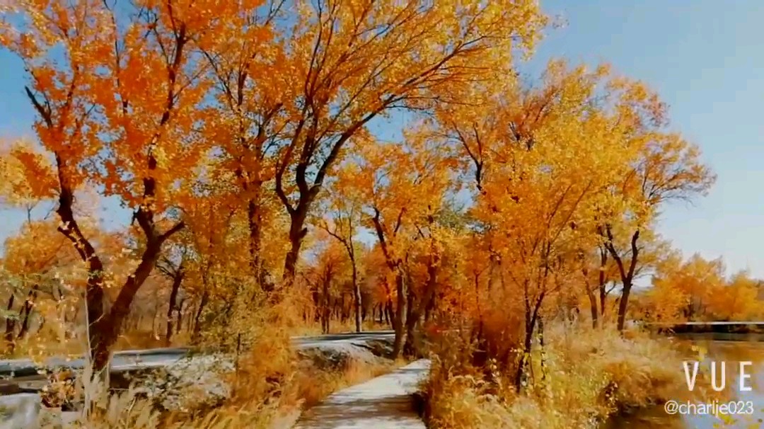 澤普旅遊圖片,澤普自助遊圖片,澤普旅遊景點照片 - 馬蜂窩圖庫 - 馬