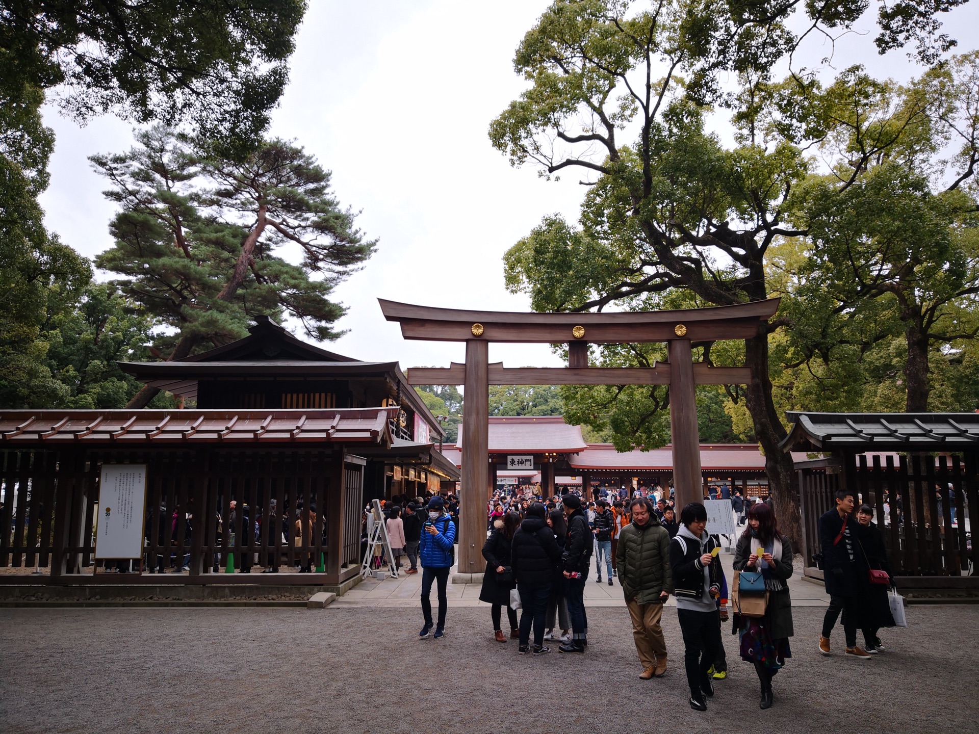 東京自助遊攻略