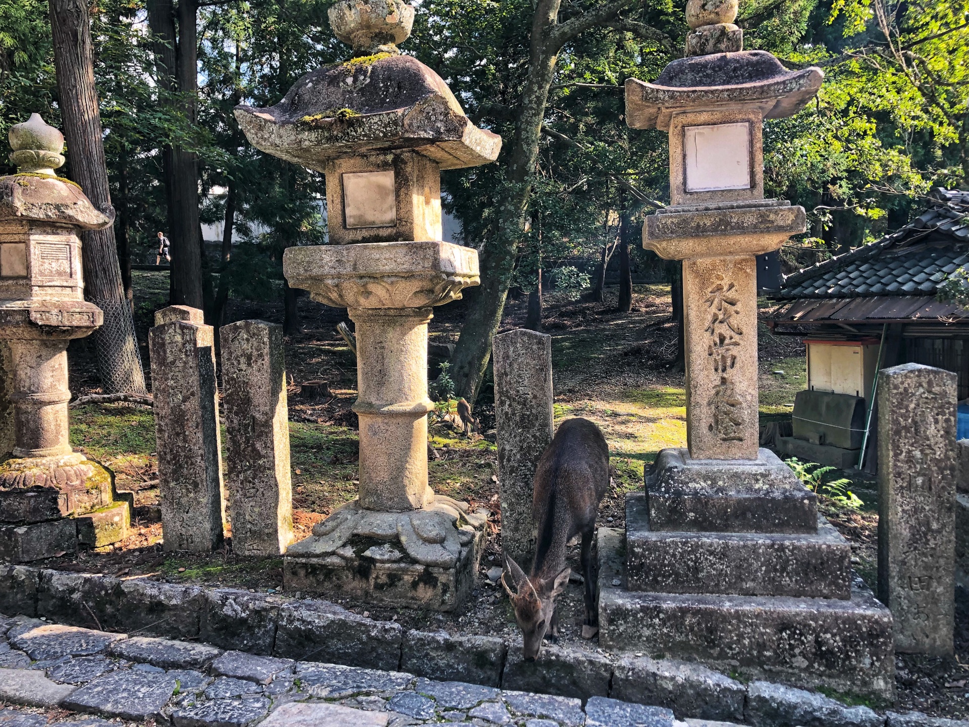 大阪自助遊攻略