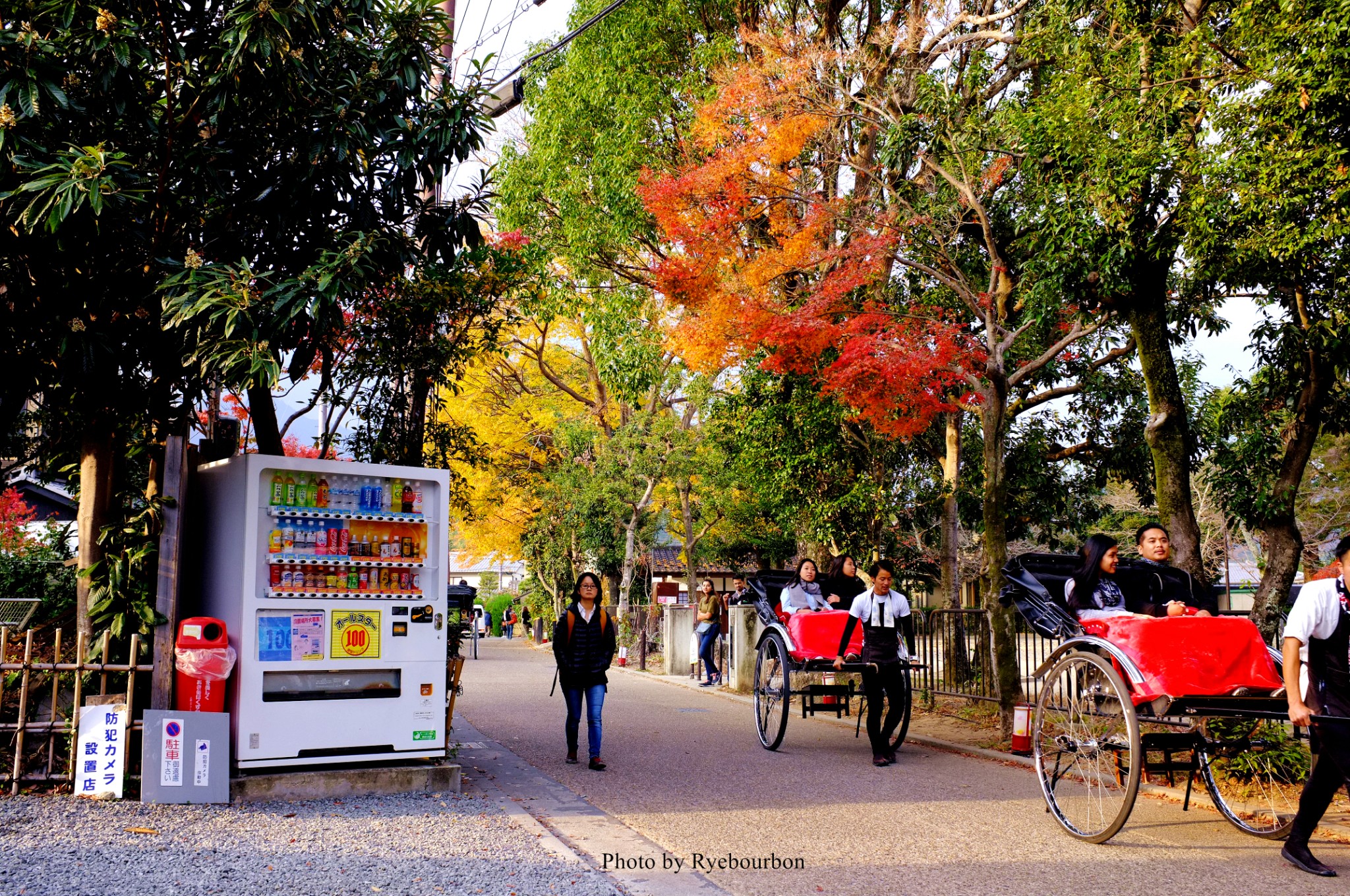 京都自助遊攻略