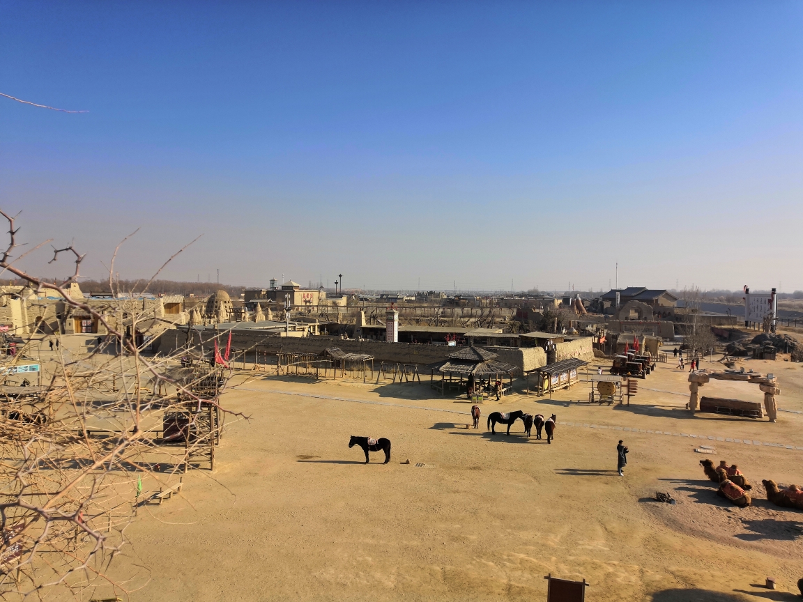 兴庆府,宁夏城(2)