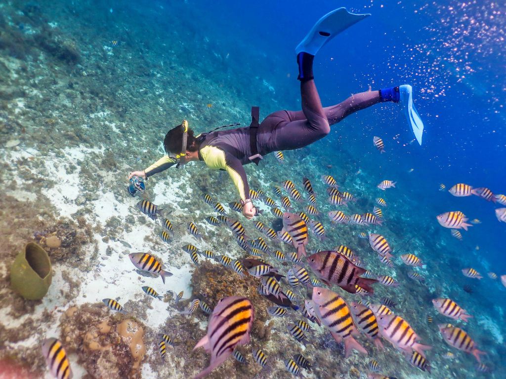 泰国必行景点暑期好去处曼谷芭提雅必打卡