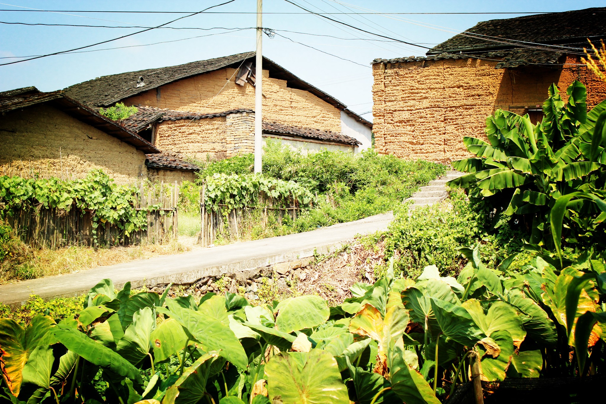 南平记忆14——博爱村