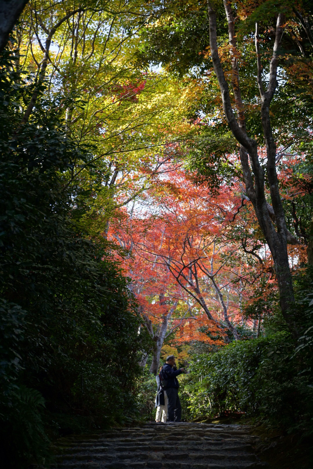 保津峡攻略 保津峡门票 地址 保津峡景点攻略 马蜂窝