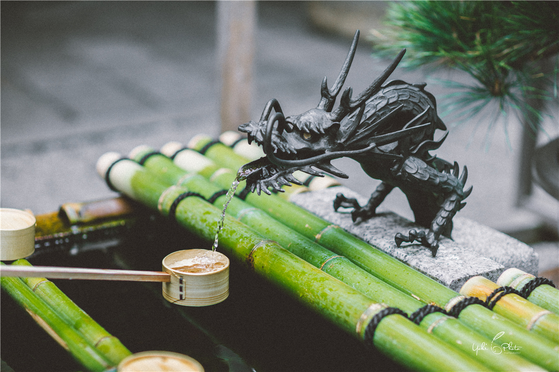 京都自助遊攻略