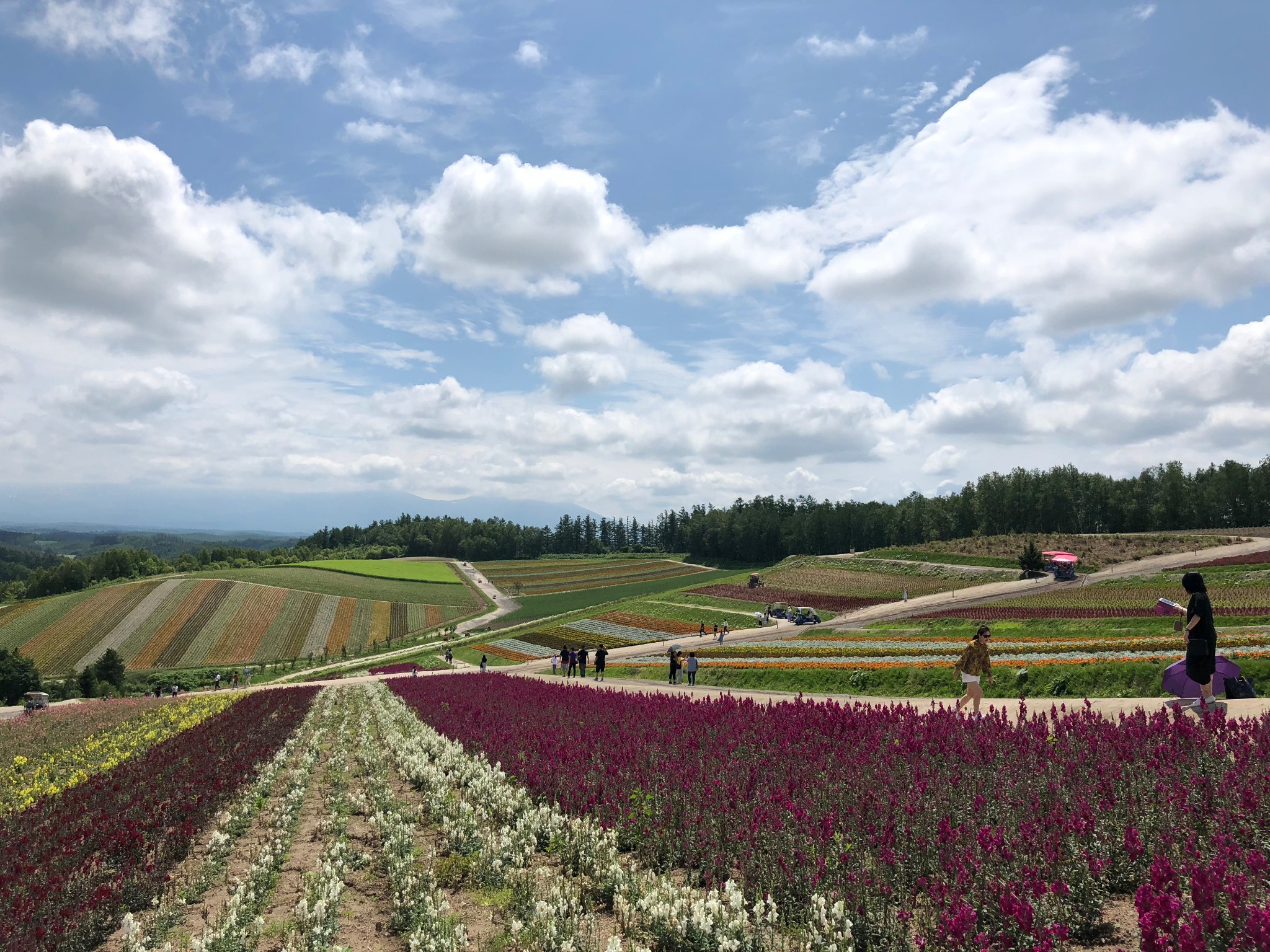 北海道自助遊攻略