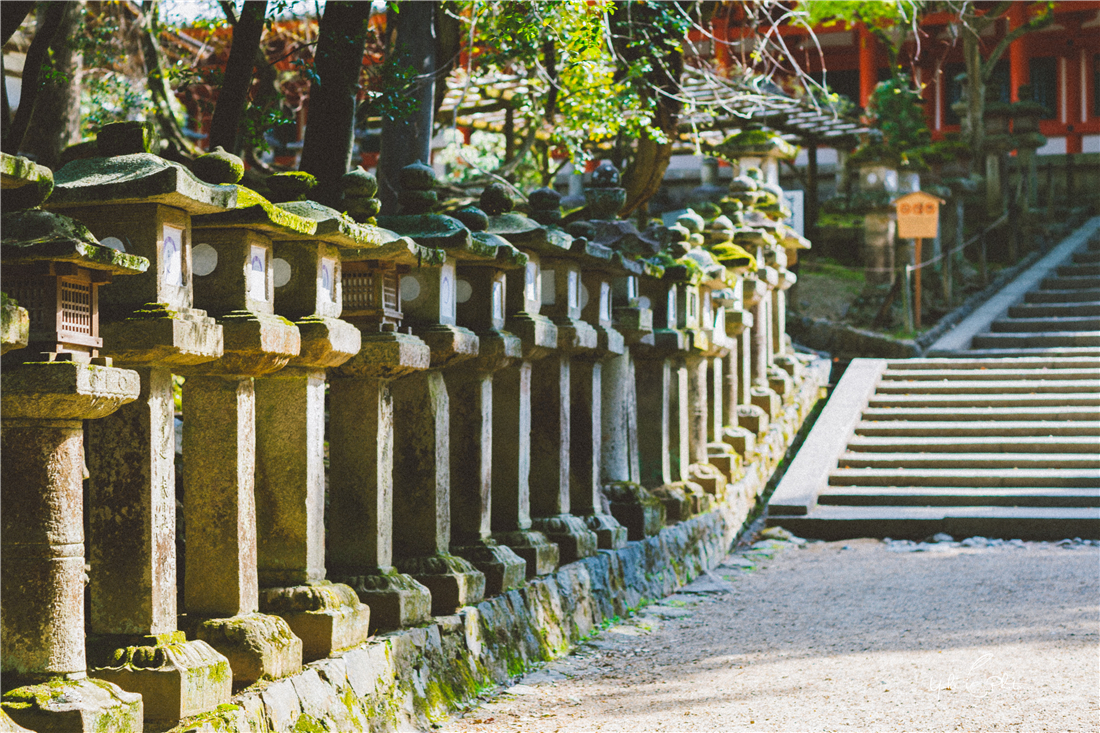 京都自助遊攻略