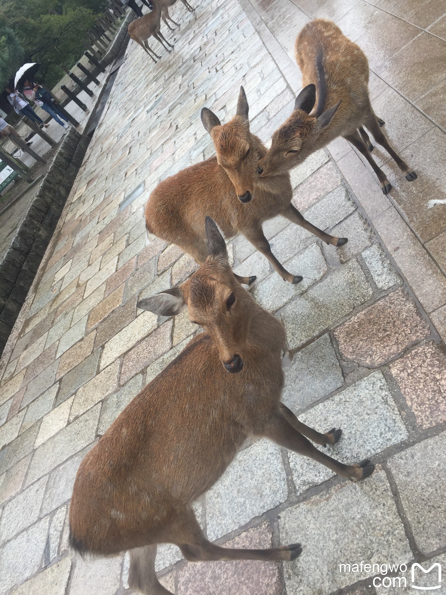 大阪自助遊攻略