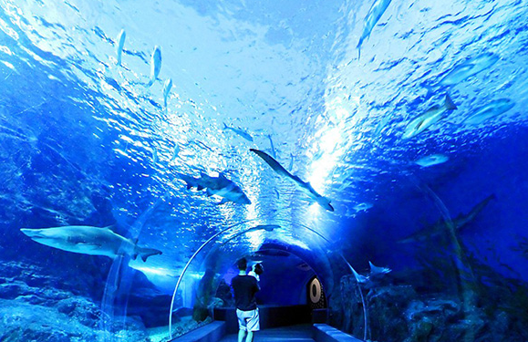 wKgED1vQAuqABu48AAa81LBiqiI510.png?imageView2%2F2%2Fw%2F510%2Fh%2F8000%2Fq%2F100