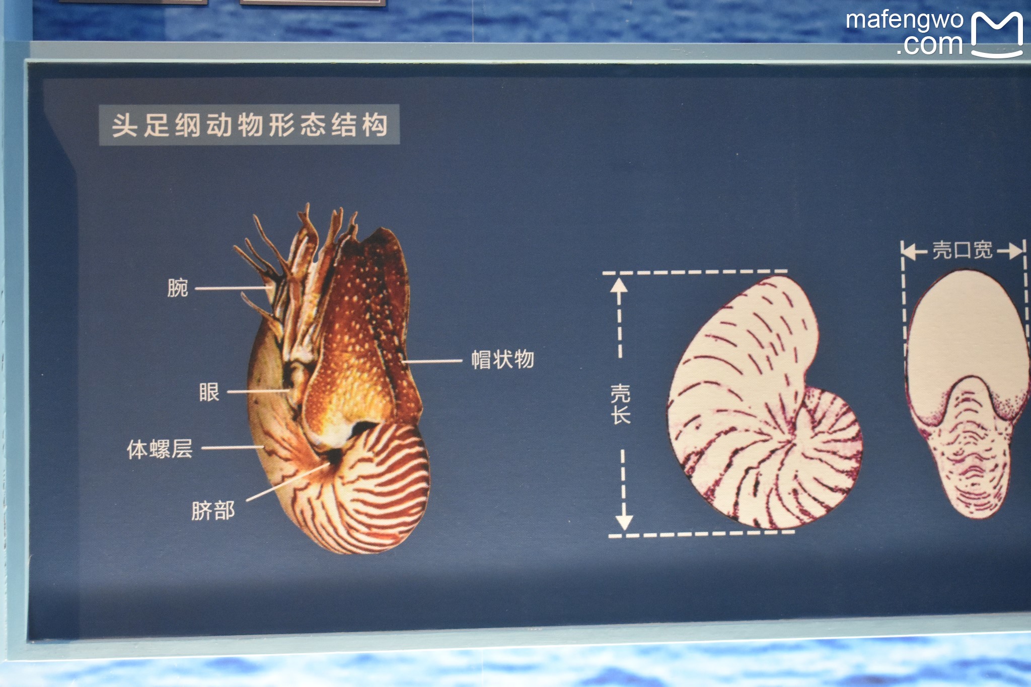 東極島自助遊攻略