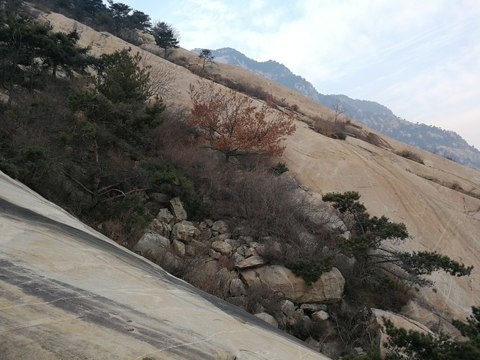 wKgED1w5pueAApBRAAGhx8m7X8s17.jpeg?imageView2%2F2%2Fw%2F680%2Fq%2F90%7CimageMogr2%2Fstrip%2Fquality%2F90
