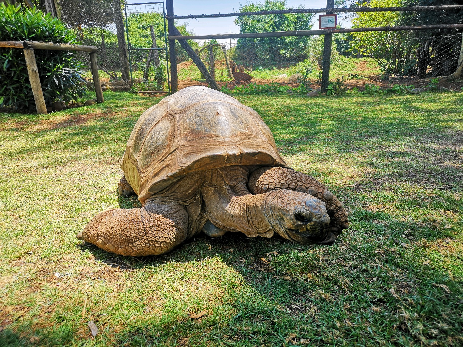 肯尼亞自助遊攻略