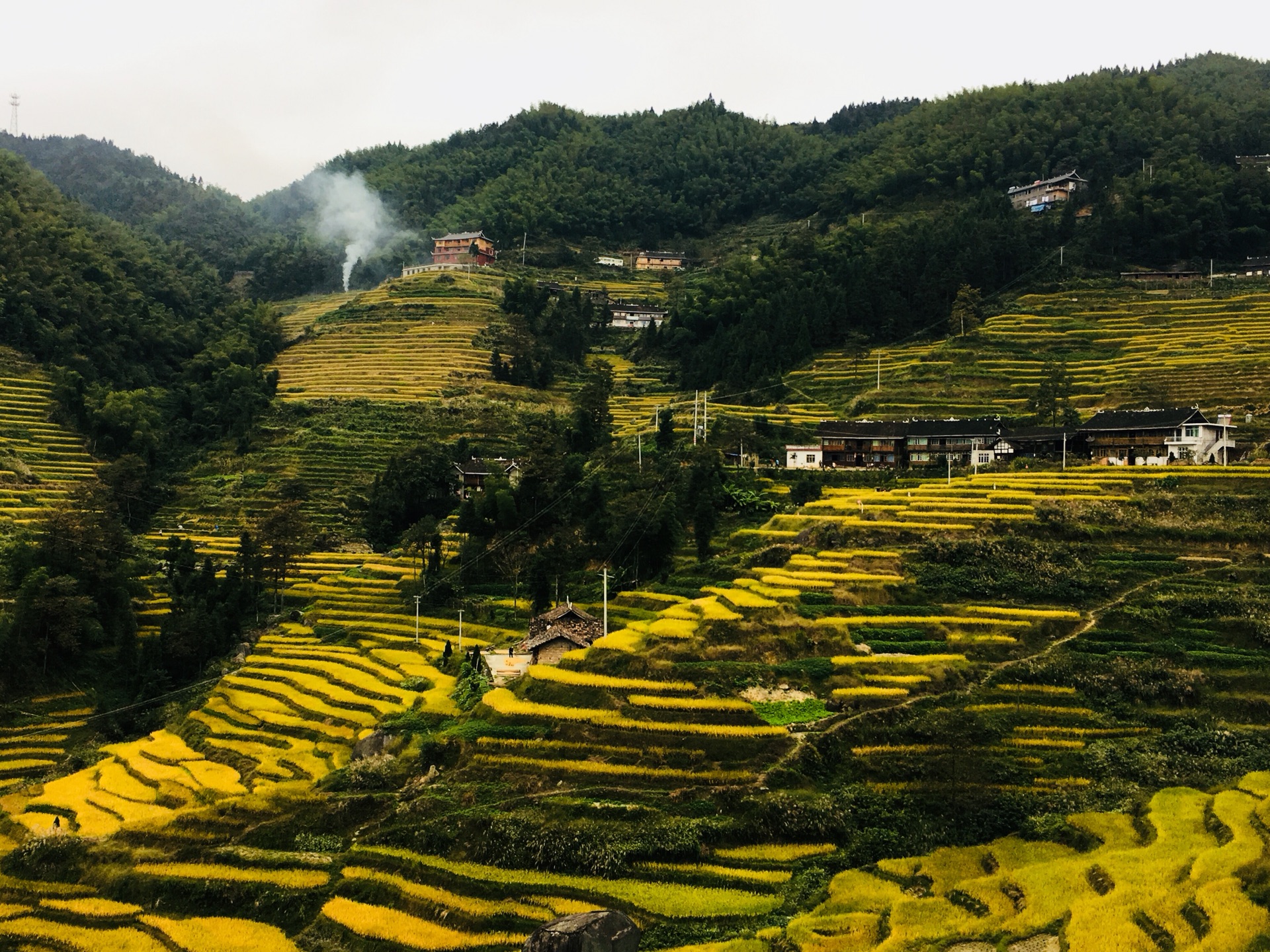 紫鵲界梯田—和老公第一次單獨旅行_遊記