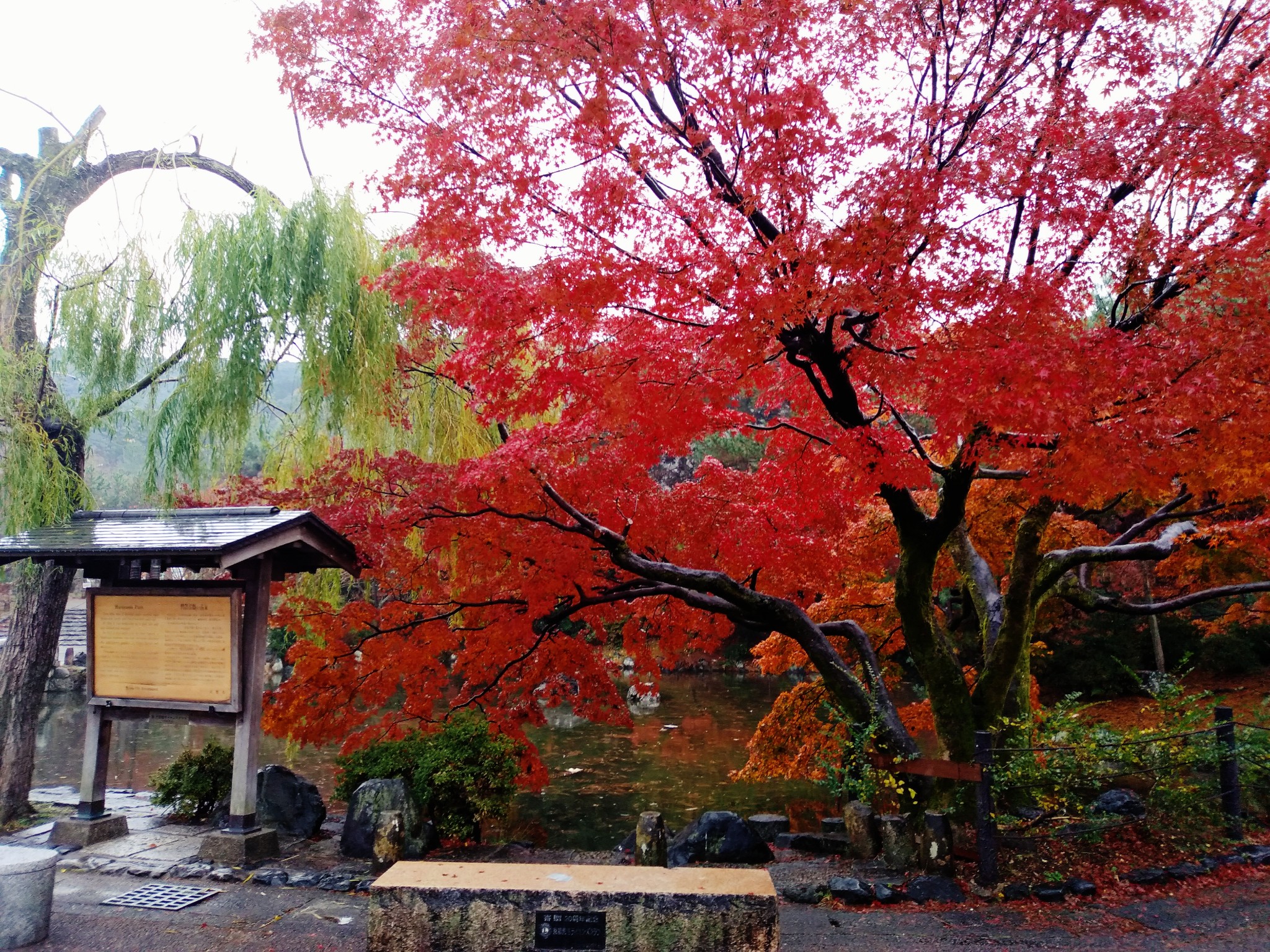 京都自助遊攻略