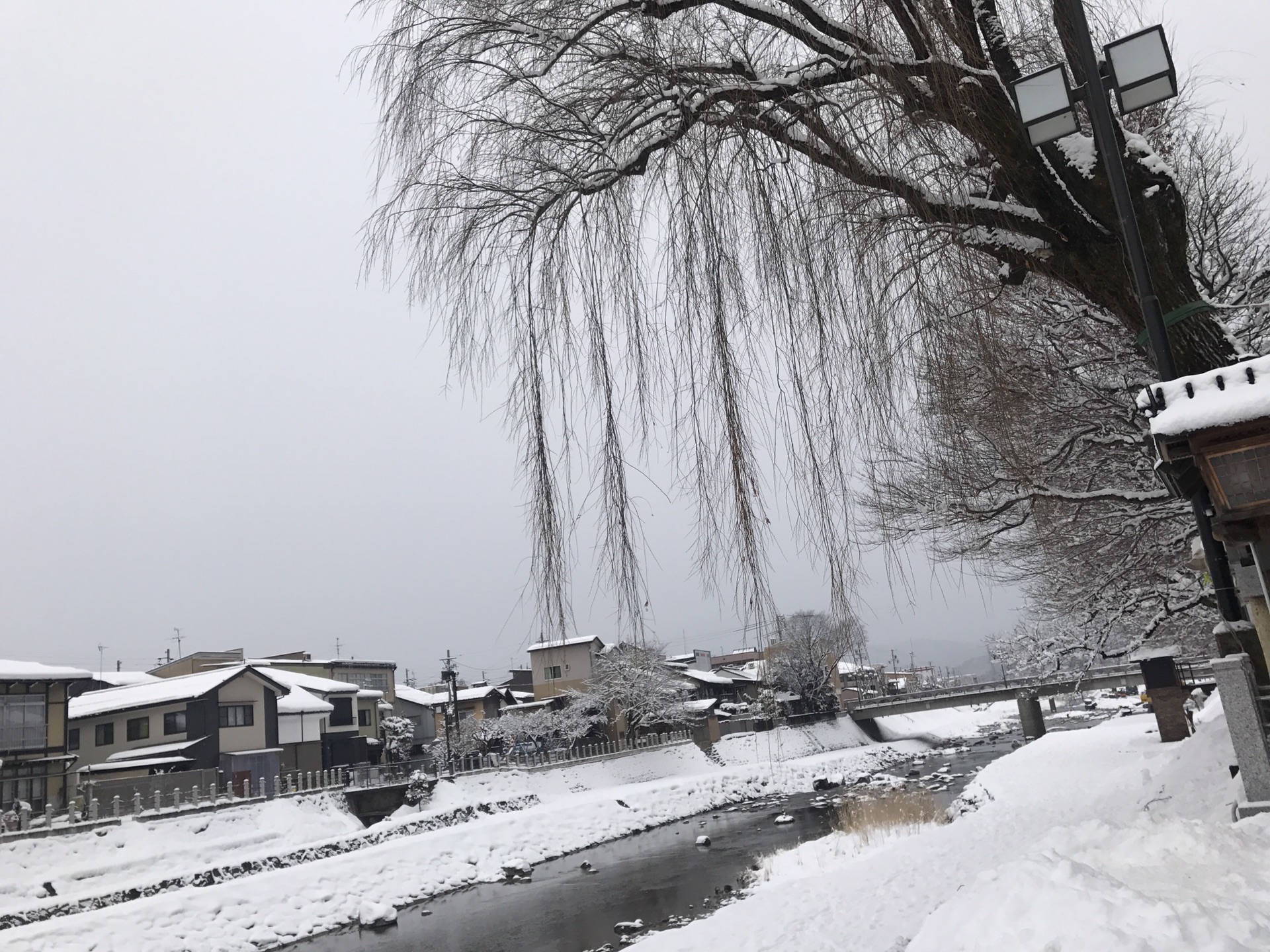 名古屋自助遊攻略