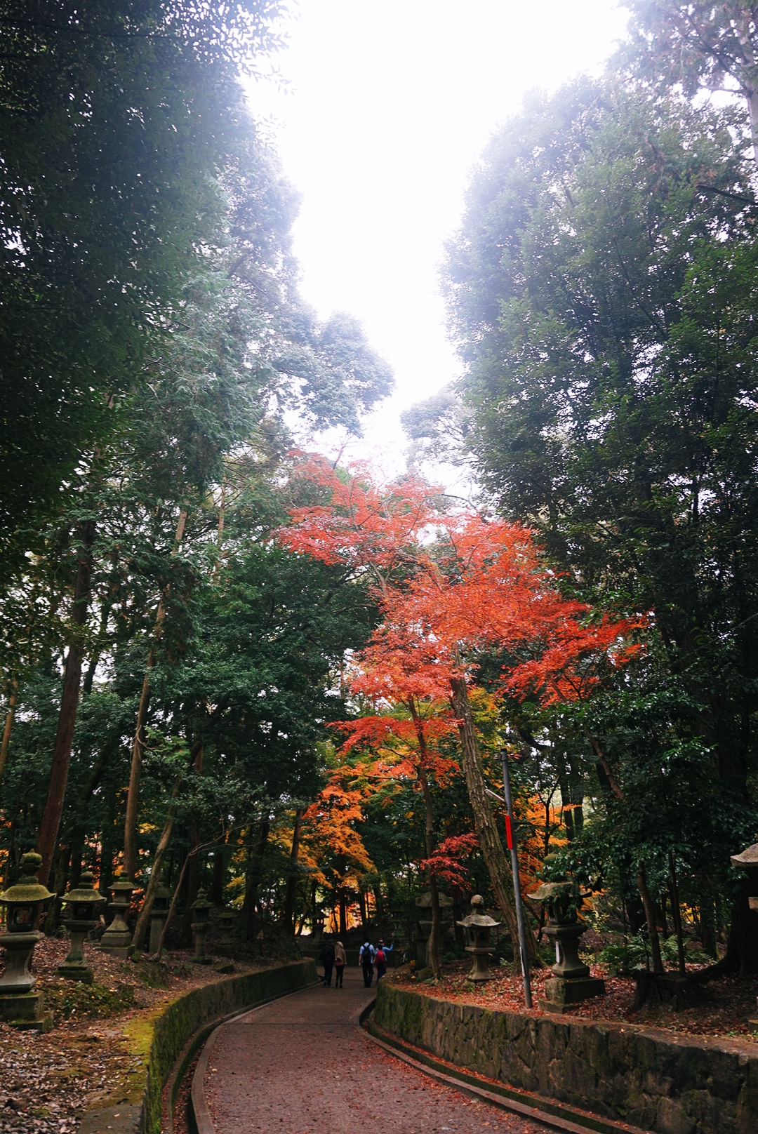 京都自助遊攻略