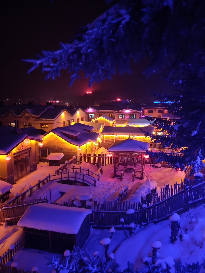 一路向北【漠河】