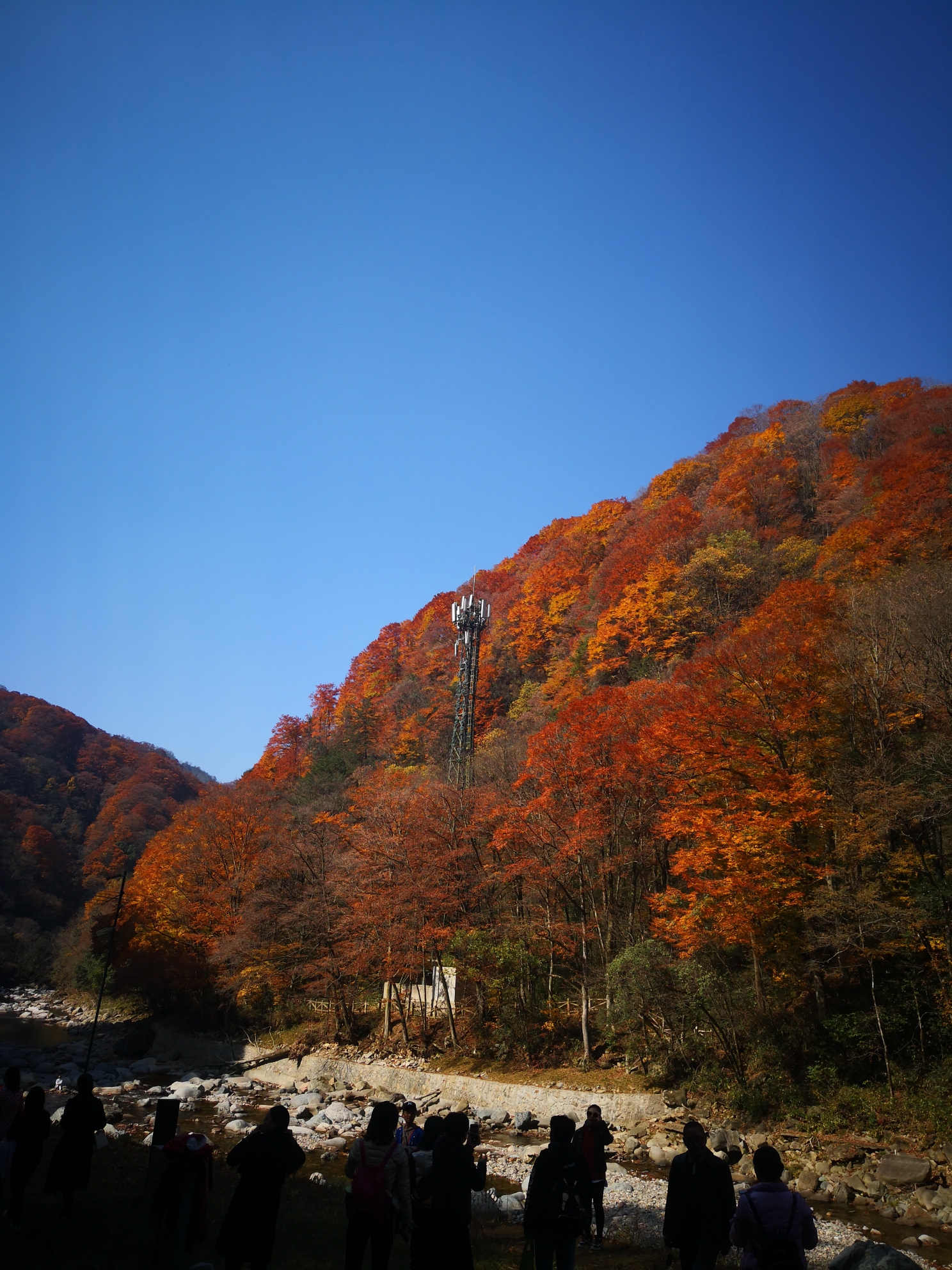 光霧山,成都旅遊攻略 - 馬蜂窩