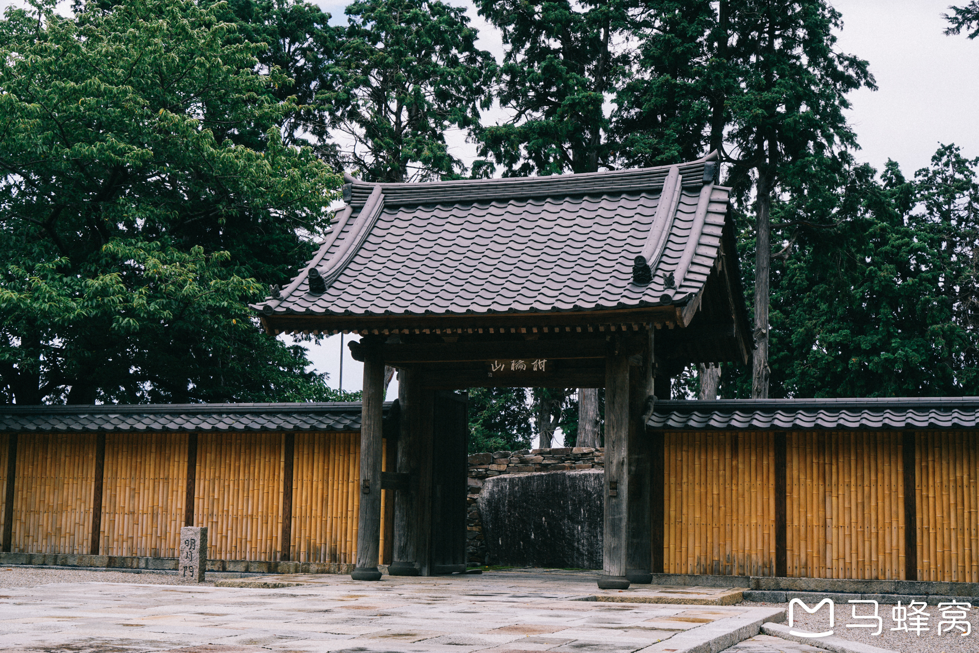 東京自助遊攻略